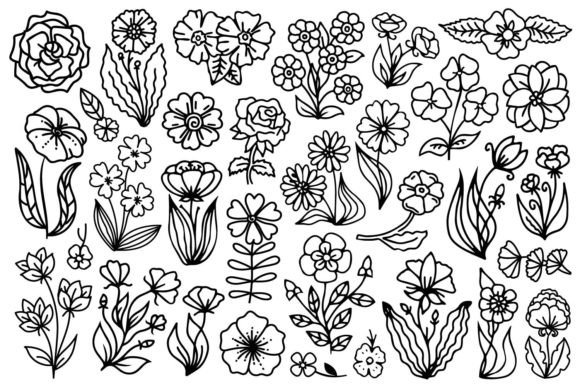Download Hand Drawn Flowers - Hand drawn flowers Collection